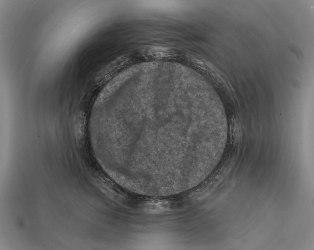 X0000112420760200909251516