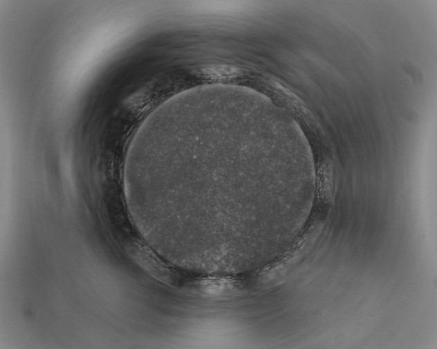 X0000112420762200909251516