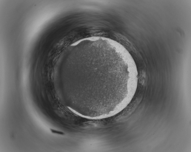 X0000112420763200909251516