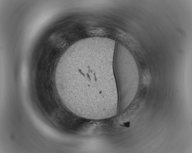 X0000112420764200909251516