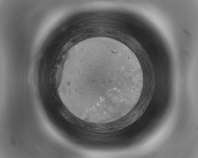 X0000112420766200909251516