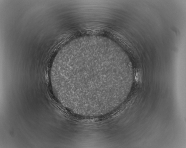 X0000112420771200909251515