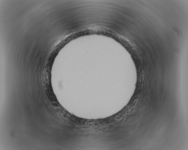 X0000112420776200909251515