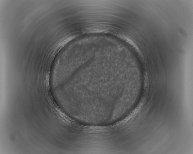 X0000112420777200909251515