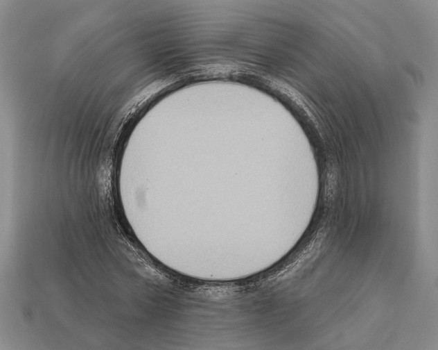 X0000112420778200909251515