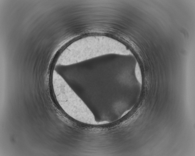 X0000112420779200909251515