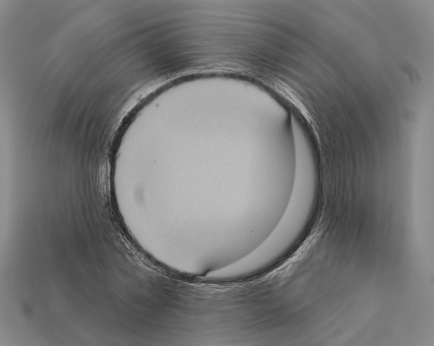 X0000112420781200909251515