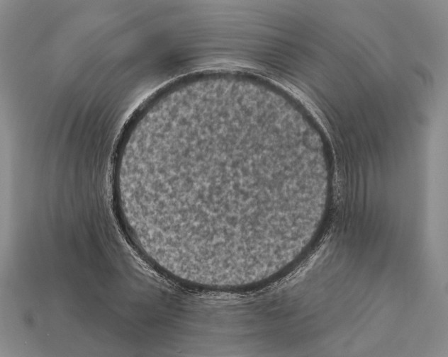 X0000112420783200909251515