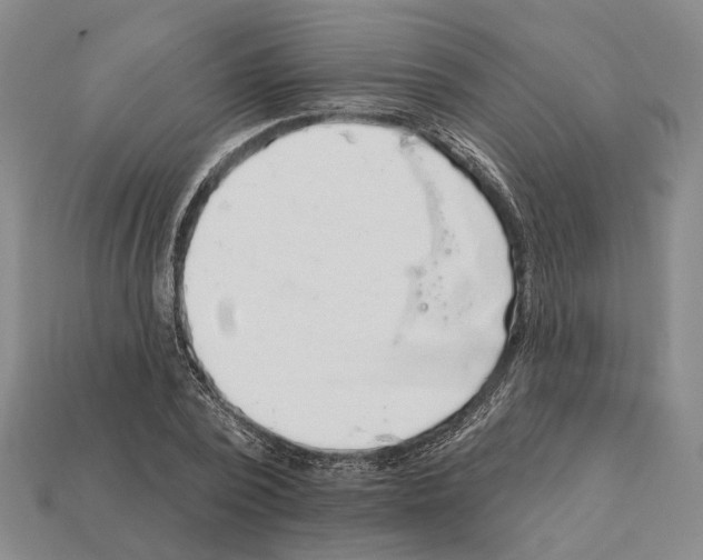 X0000112420784200909251515