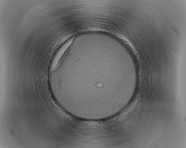 X0000112420785200909251515