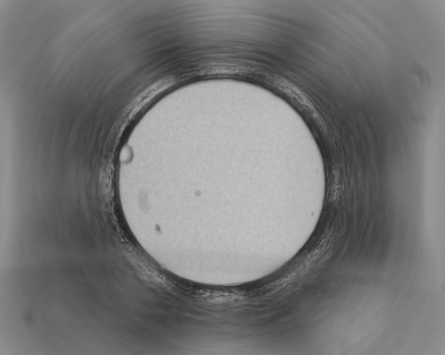 X0000112420786200909251515