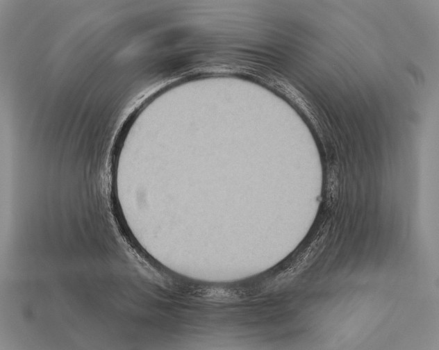 X0000112420787200909251515