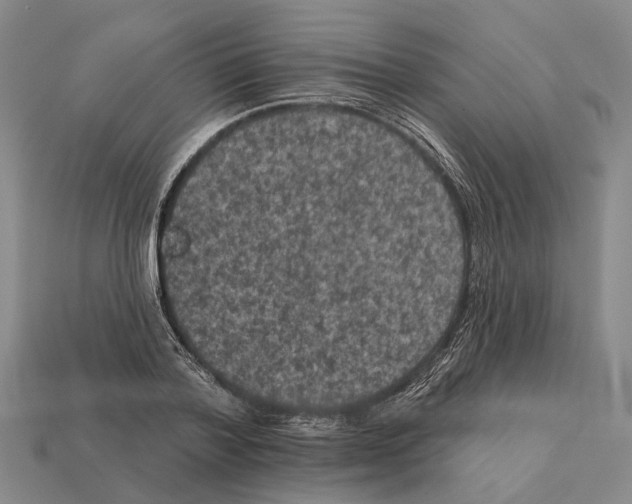 X0000112420788200909251515