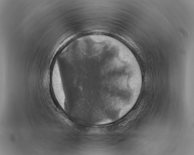 X0000112420790200909251515