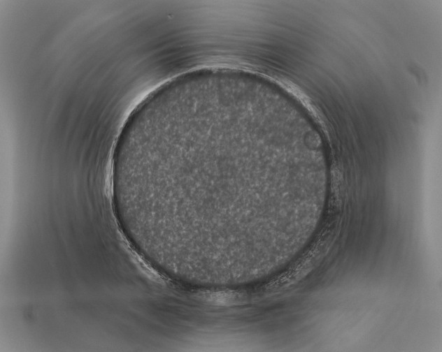 X0000112420791200909251515