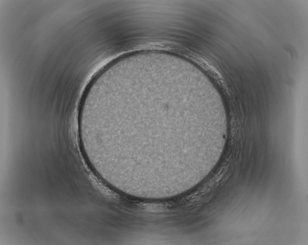 X0000112420792200909251515