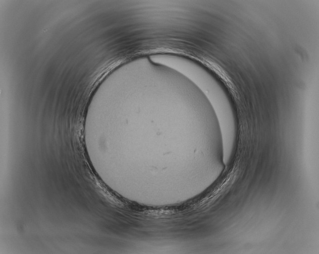 X0000112420793200909251515