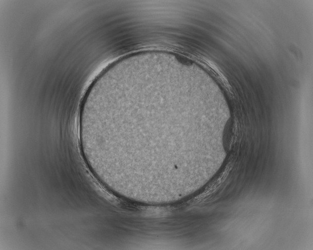 X0000112420796200909251515