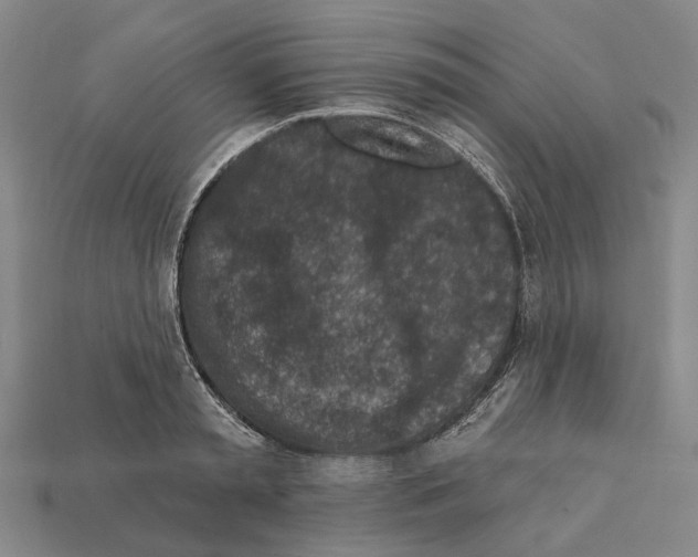 X0000112420797200909251515