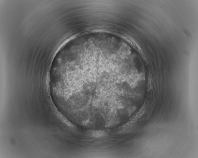 X0000112420798200909251515