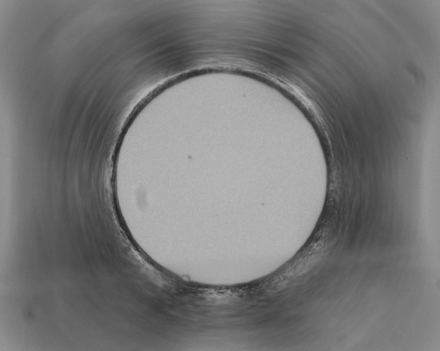 X0000112420799200909251515