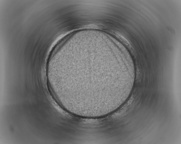 X0000112420800200909251515