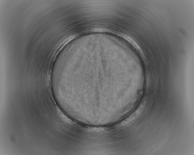 X0000112420801200909251515