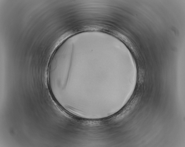 X0000112420802200909251515