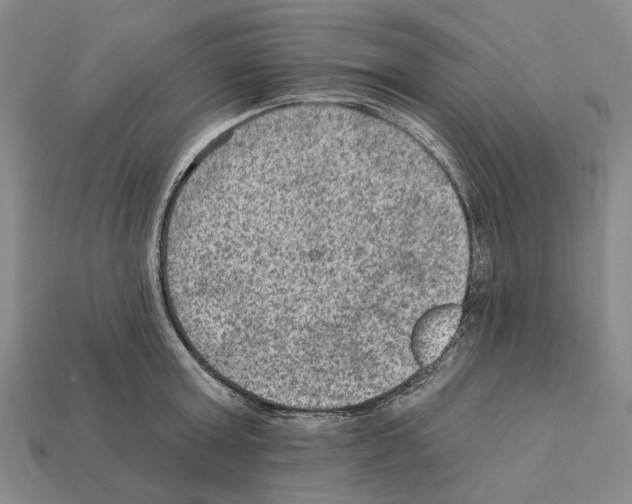 X0000112420803200909251515