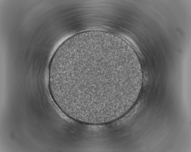 X0000112420804200909251515