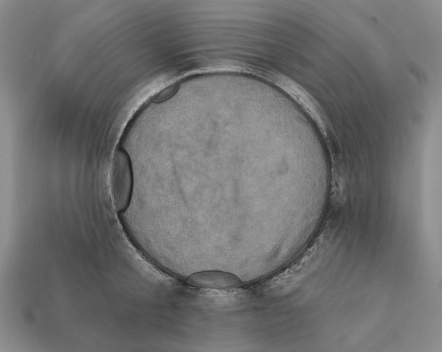 X0000112420805200909251515