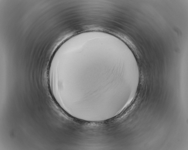 X0000112420806200909251515