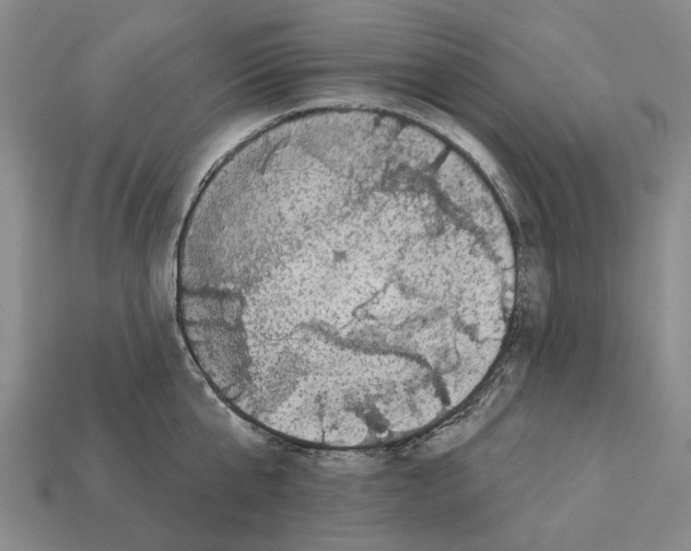 X0000112420807200909251515