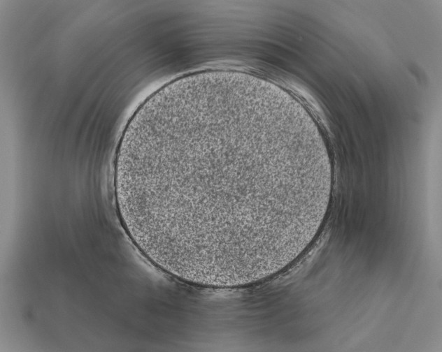 X0000112420808200909251515