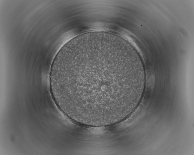 X0000112420810200909251515