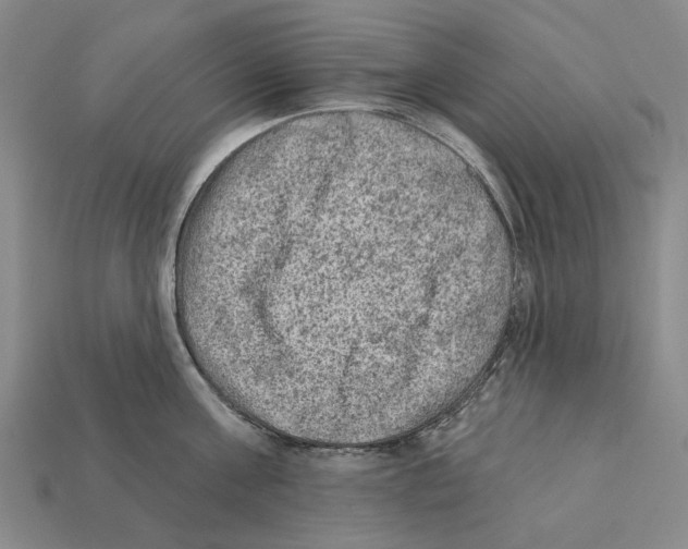 X0000112420811200909251515