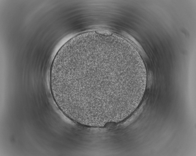 X0000112420812200909251515