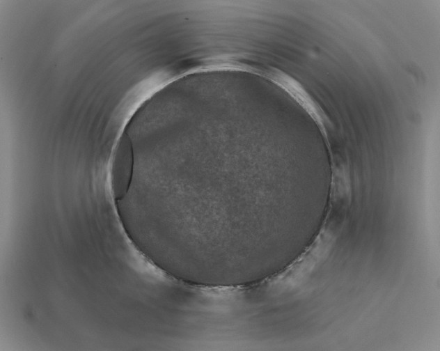 X0000112420813200909251515