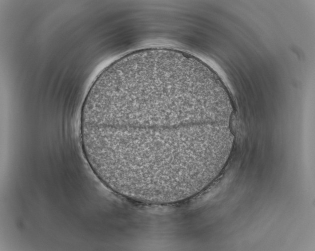 X0000112420815200909251515