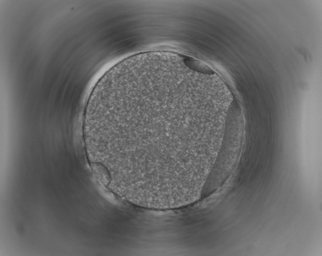 X0000112420816200909251515