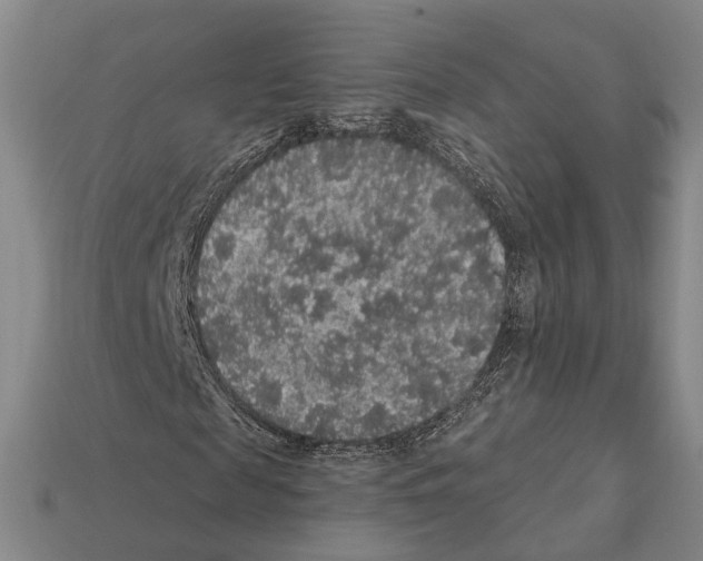 X0000112420817200909251514