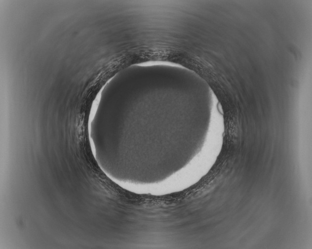 X0000112420818200909251514