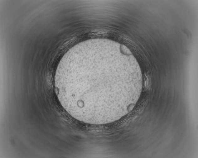 X0000112420819200909251514