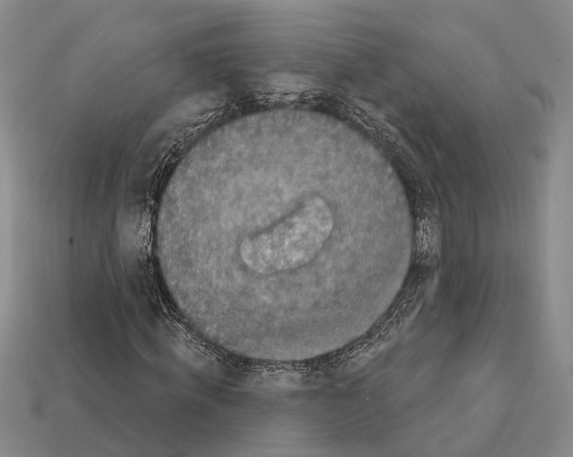 X0000112420820200909251514