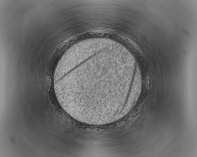 X0000112420821200909251514