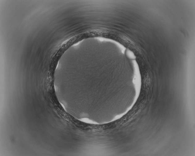 X0000112420822200909251514