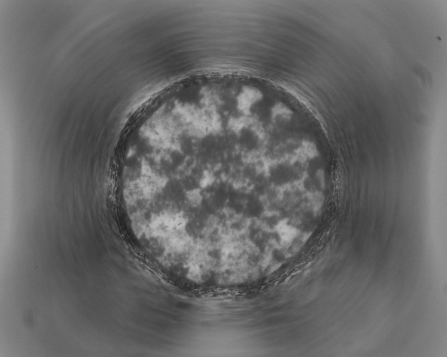 X0000112420823200909251514