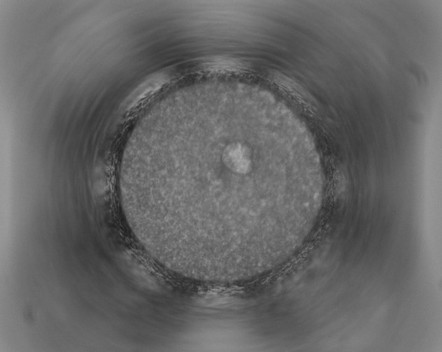 X0000112420824200909251514