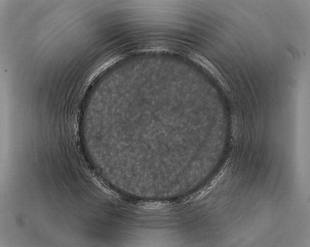 X0000112420826200909251514