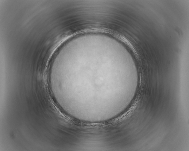 X0000112420828200909251514